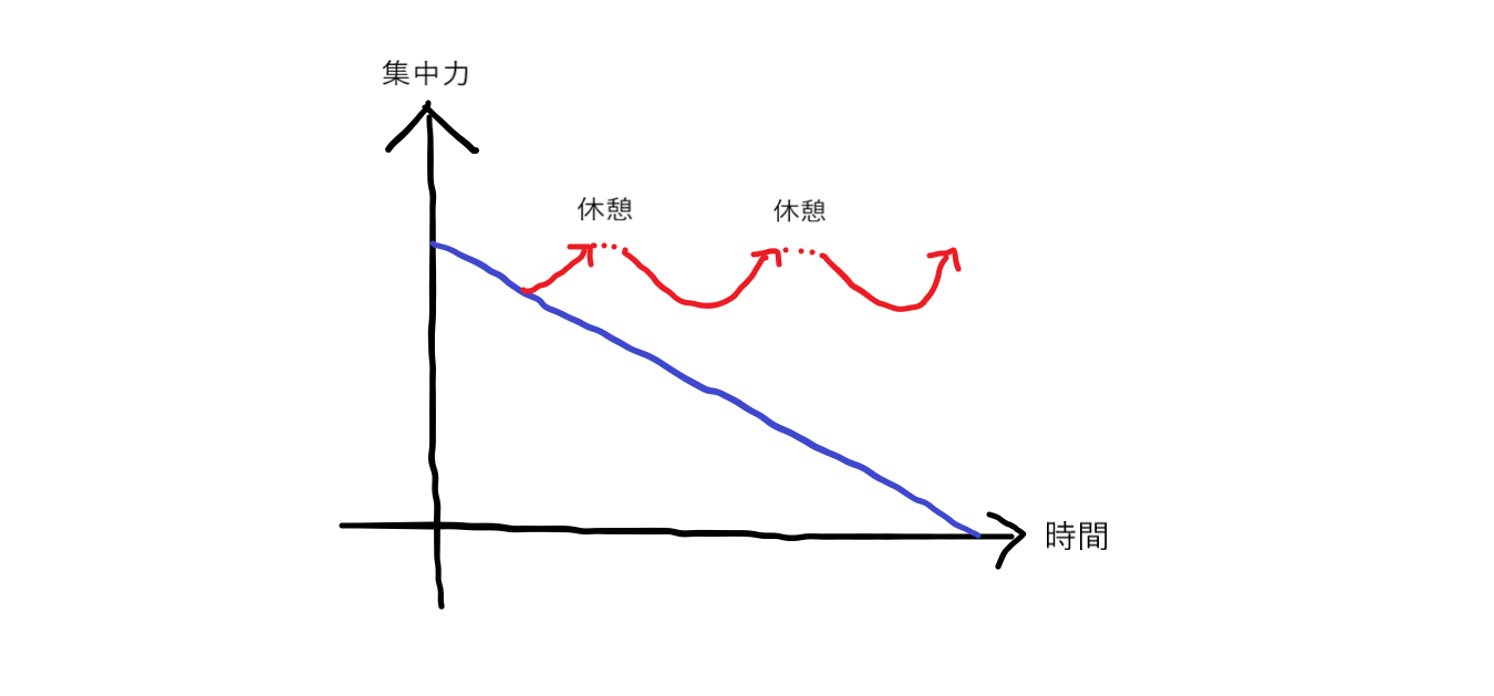 集中できない自分におさらば 集中力を持続する5つのコツ コアラの行進ブログ